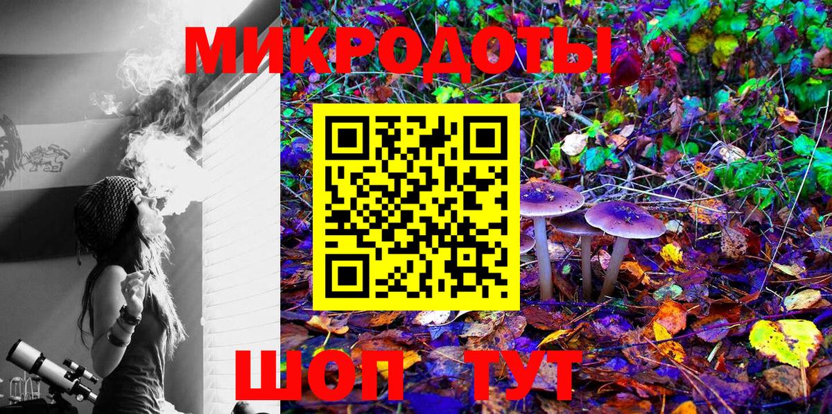 Псилоцибиновые грибы прущие грибы  купить закладку  Курск  Вход с VPN 